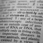 IT Glossary: Key Terms Every Beginner Should Know