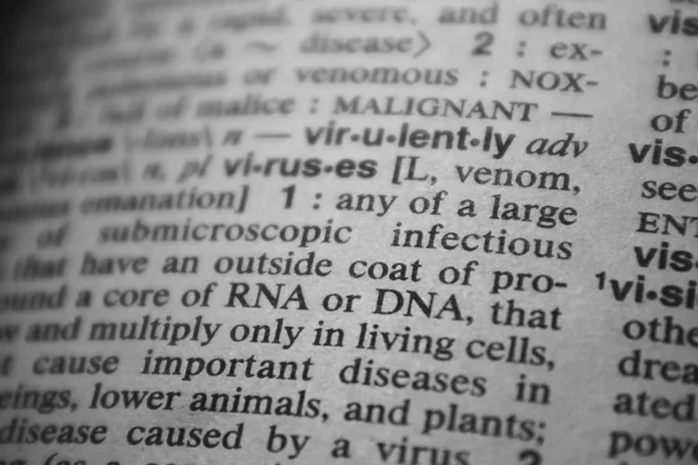 IT Glossary: Key Terms Every Beginner Should Know