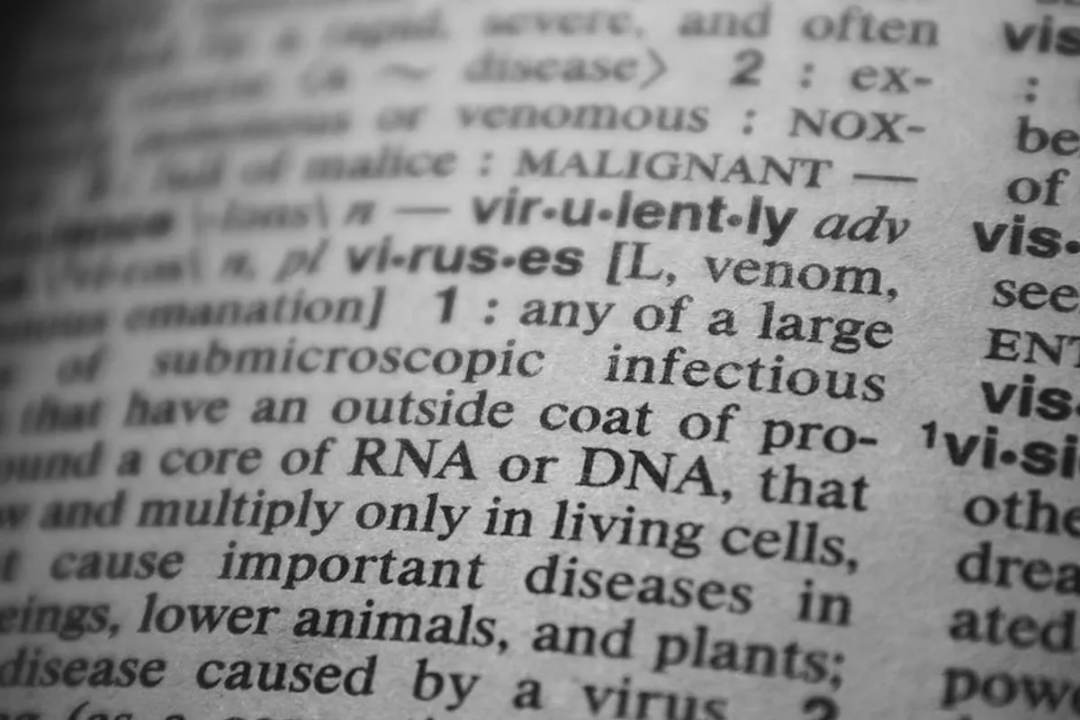IT Glossary: Key Terms Every Beginner Should Know