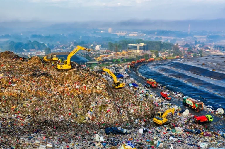 Pollution Control: Meaning, Examples, Guide, and Key Details